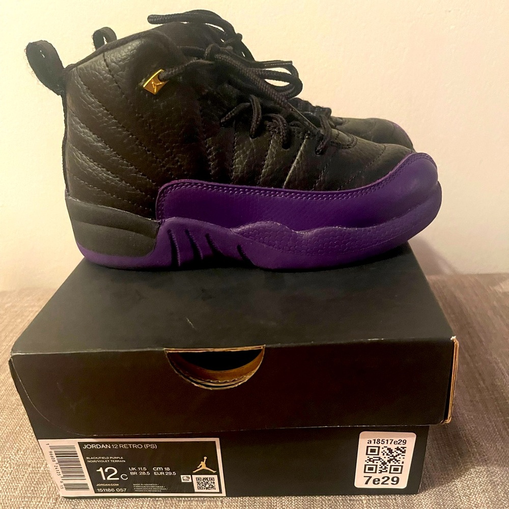 Retro Jordan 12